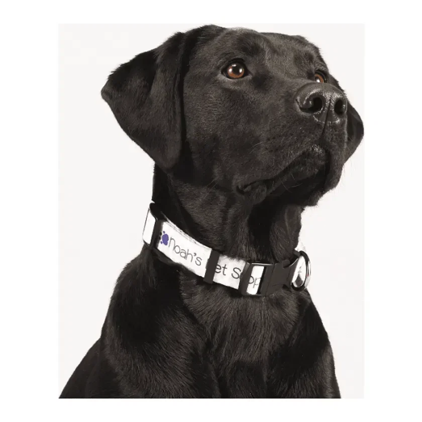 Custom Adjustable Pet Collar (1" Wide, Full Color) — view 2