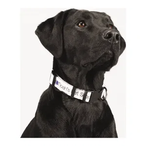 Adjustable Pet Collar (1" Wide, Full Color)