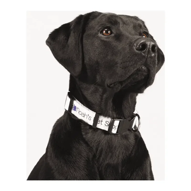 Custom Adjustable Pet Collar (1" Wide, Full Color) — view 2