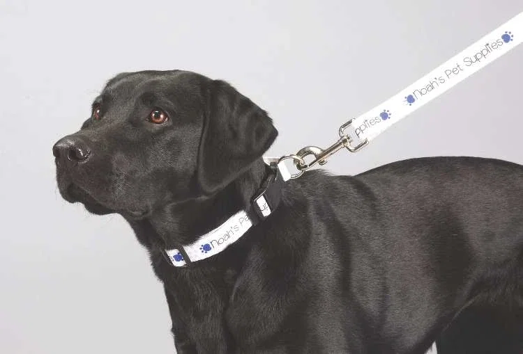 Custom Premium Pet Leash - Full Color 1" Wide — view 4