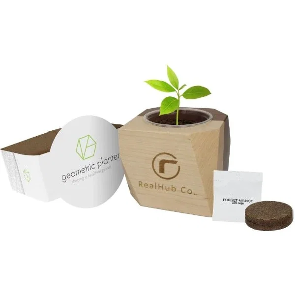 Geometric wood desktop planter in two-tone maple and walnut, front view