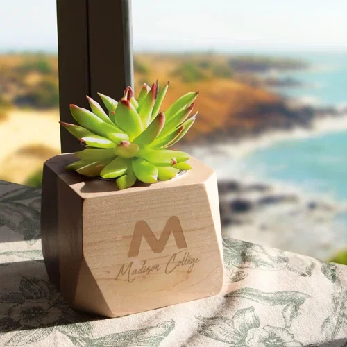 Geometric Wood Planter side angle showing modern faceted maple-walnut shape