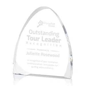 Peak Optical Award – Customizable for Business Recognition, 60 chars