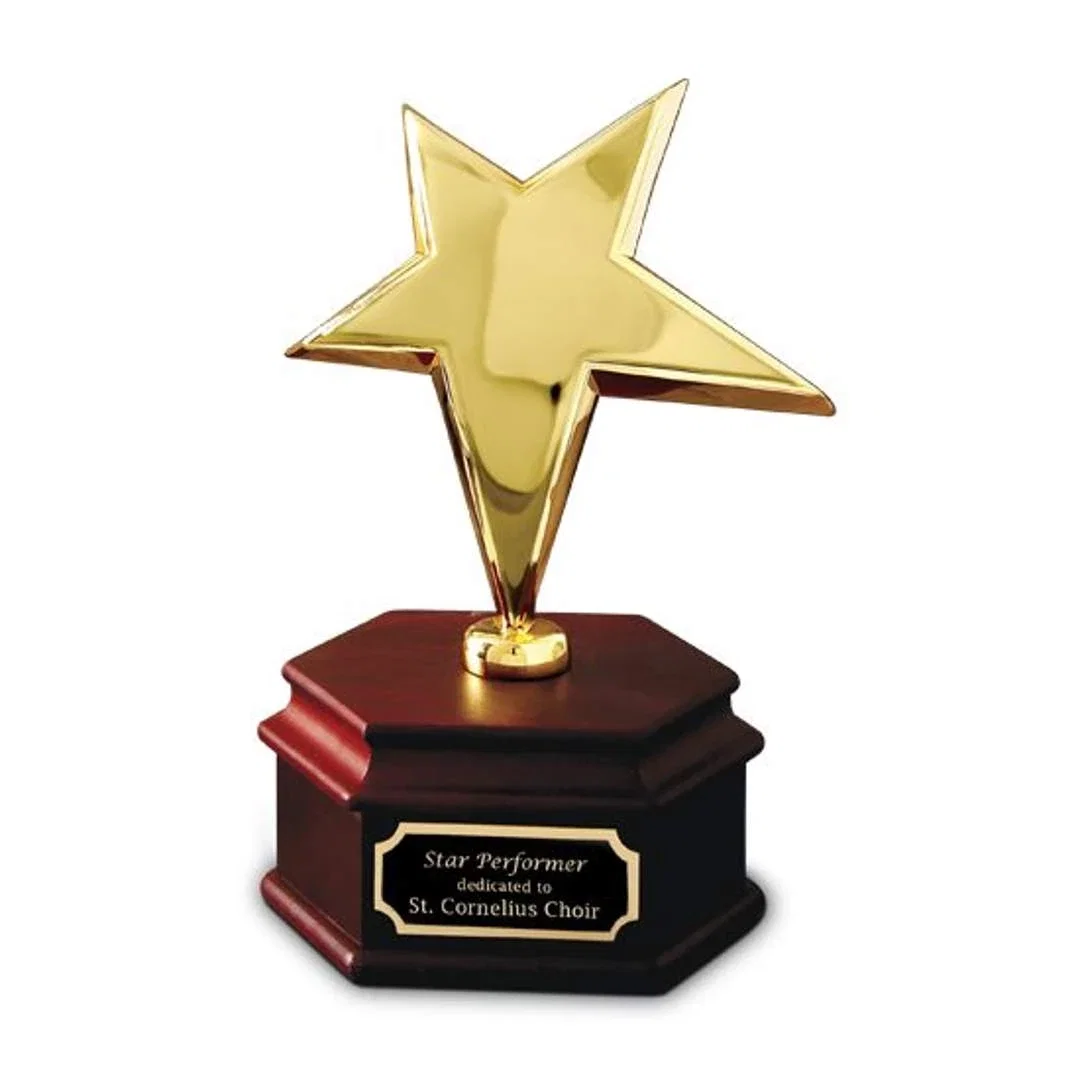 Rising Star Gold Achievement Award — view 2