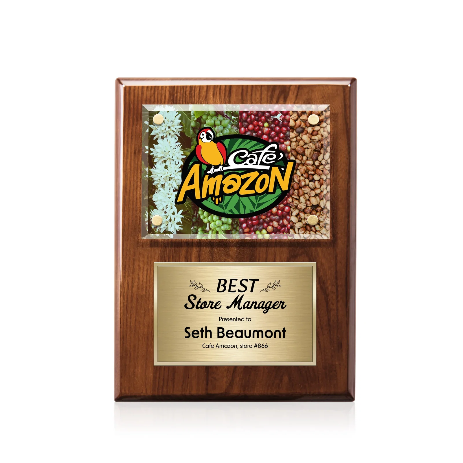 Promotional Beveled Starfire Crystal Plaque Offset From Carbon Fiber for volunteer appreciation
