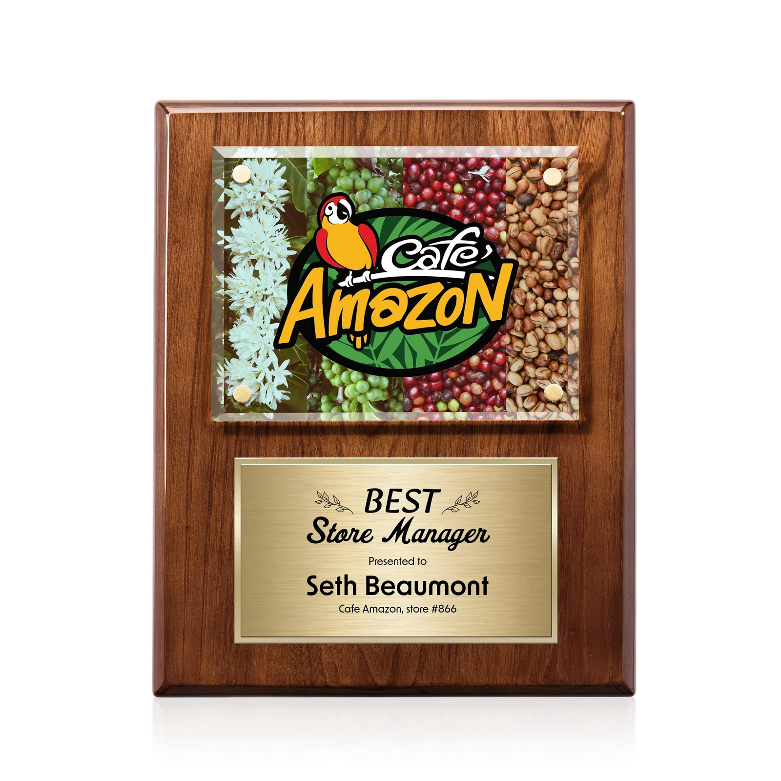 Promotional Beveled Starfire Crystal Plaque Offset From Carbon Fiber for dealer and partner awards