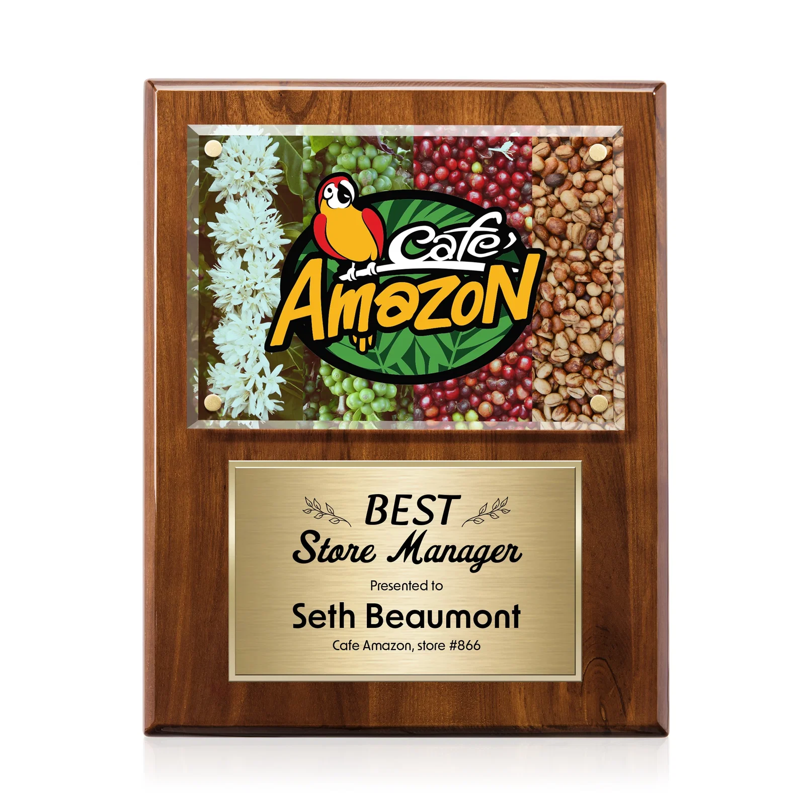 Promotional Beveled Starfire Crystal Plaque Offset From Carbon Fiber for company anniversary events