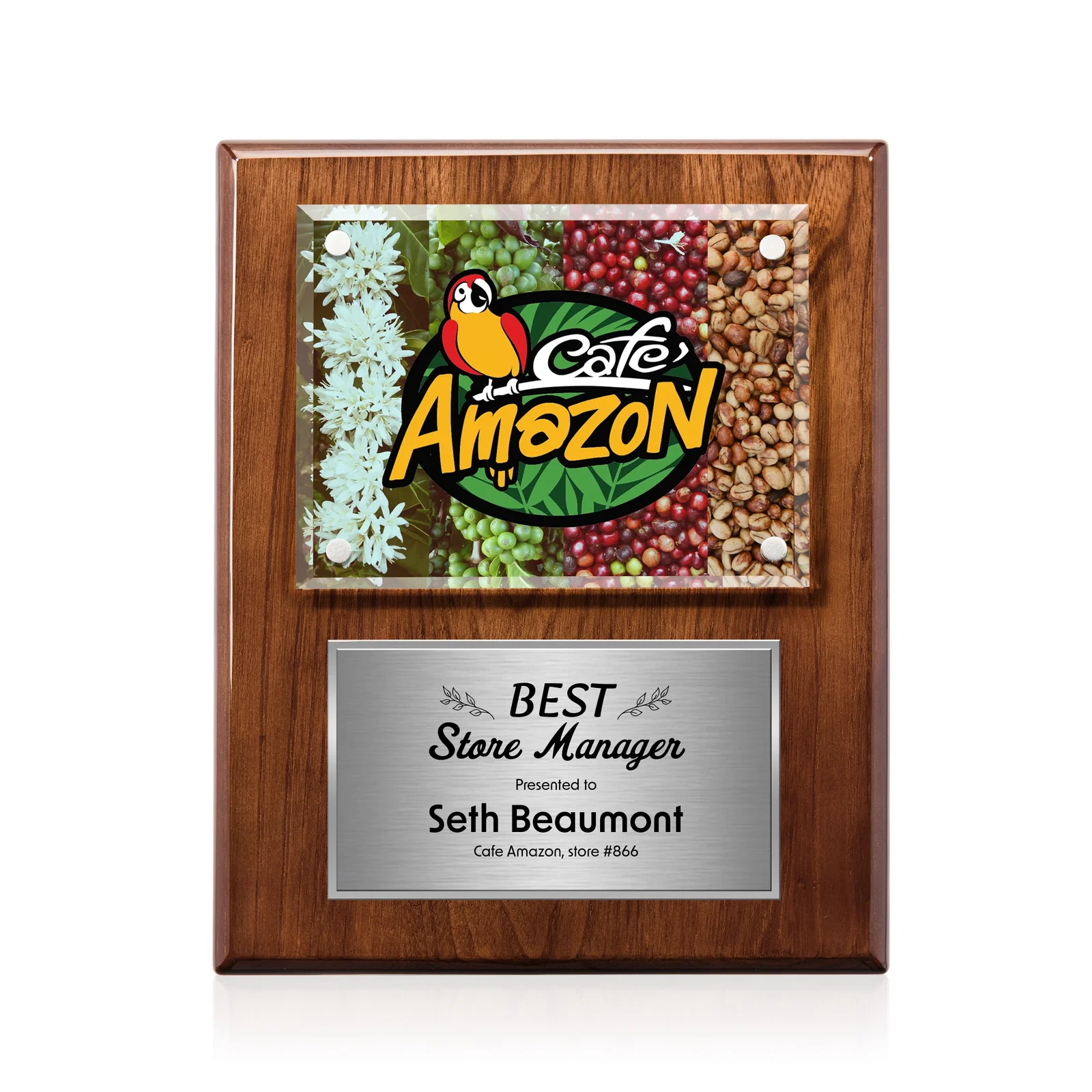 Branded Beveled Starfire Crystal Plaque Offset From Carbon Fiber for retirement presentations