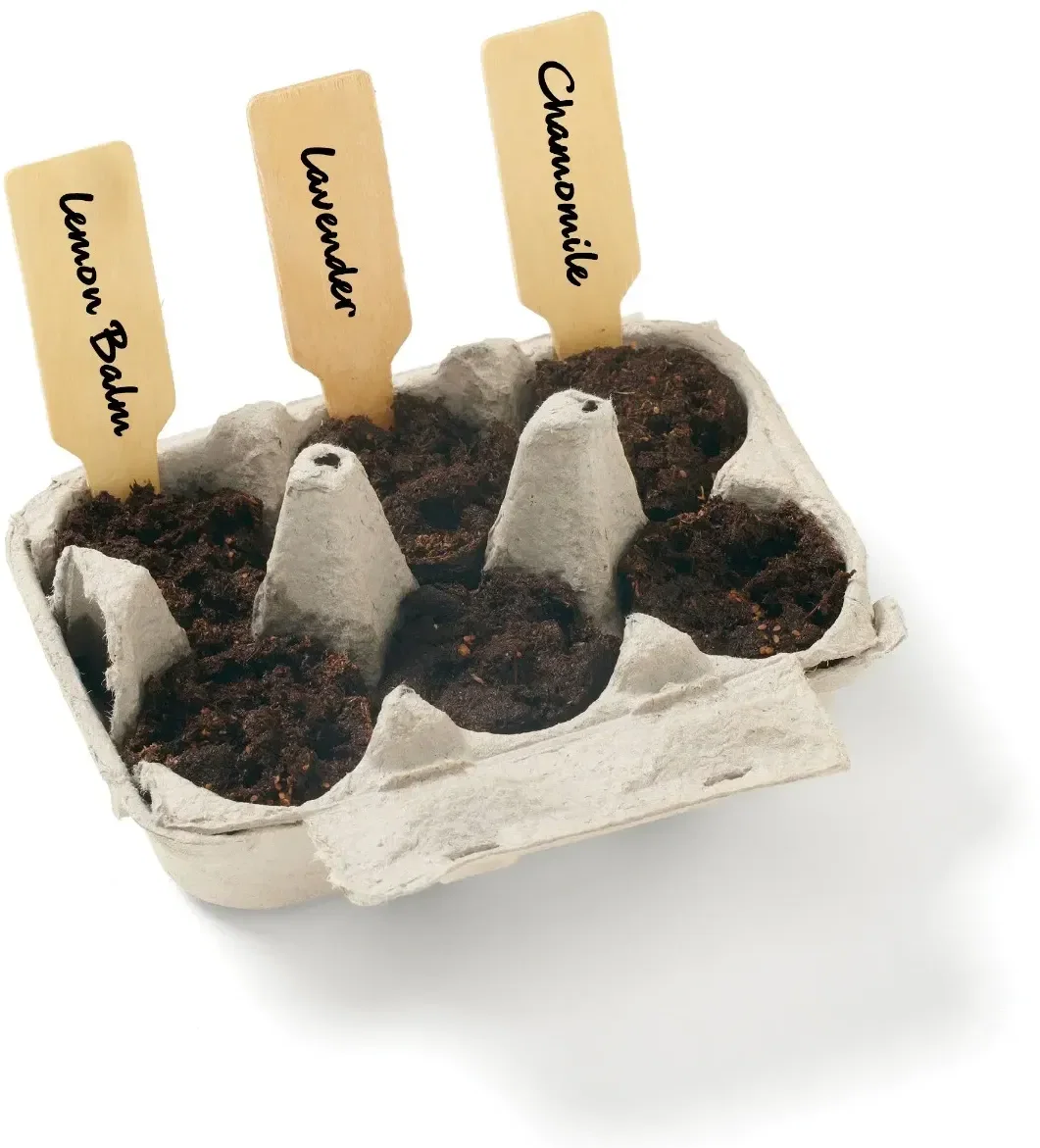 Grow Your Own Herbal Tea Garden Kit — view 2