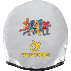 Guardian Collapsible Auto Sun Shade
