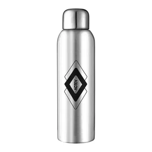 Guzzle 28oz Stainless Sports Bottle