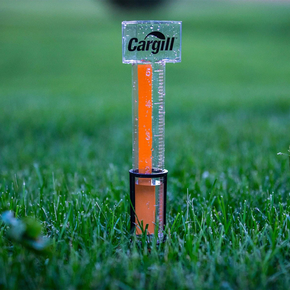 Hammer Head Rain Gauge — view 4