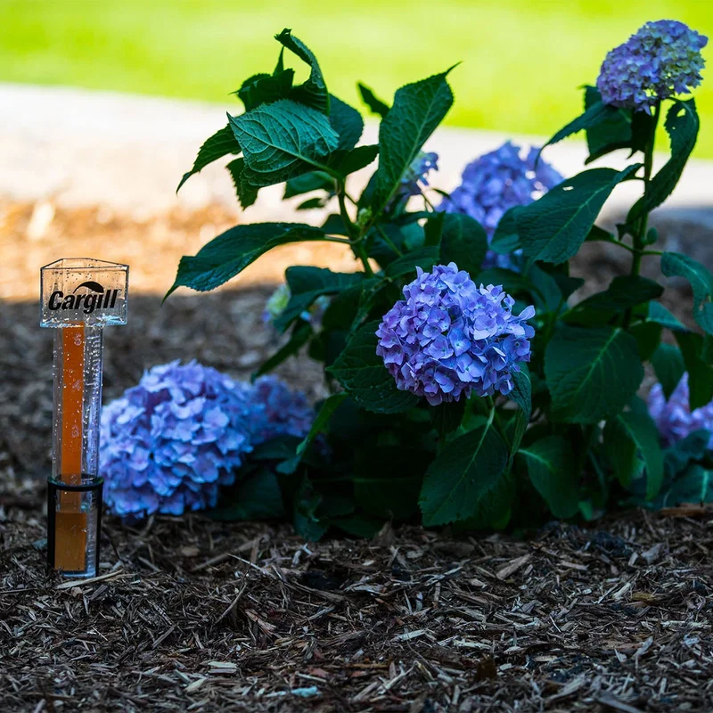 Hammer Head Rain Gauge — view 6
