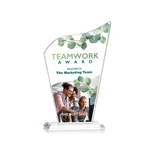 Harp-Curved Starfire Crystal Award