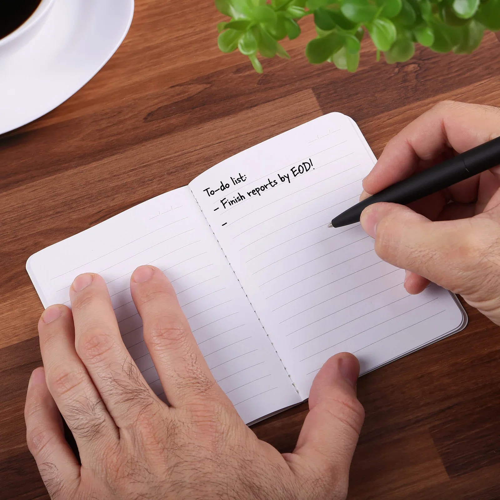 Harvest Fruit Fiber™ Pocket Notebook in use