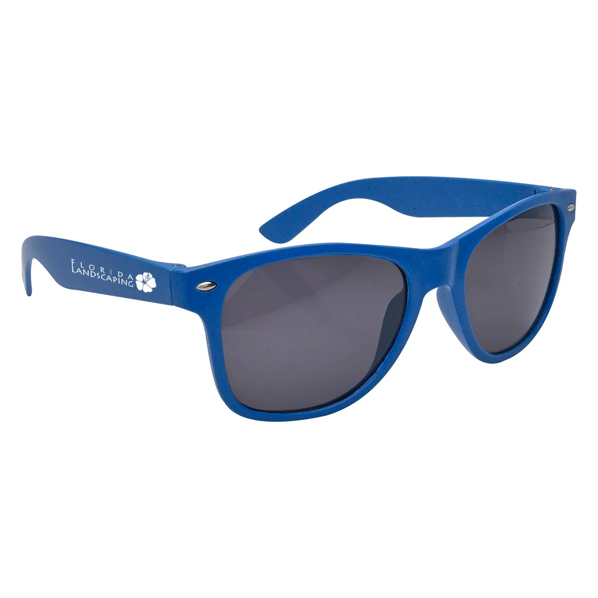 Sunglasses with tinted lenses and slim molded temples