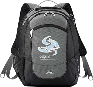 Custom High Sierra Fly-By 17" Computer Backpack