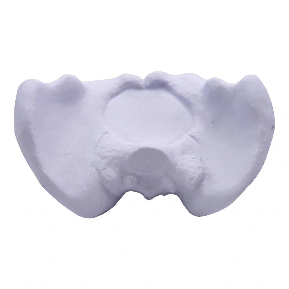 Hip Bone — view 2
