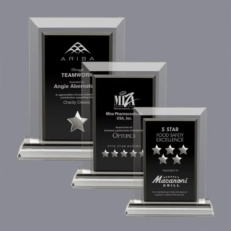 Customizable Holloway Catch-A-Star Awards β view 1