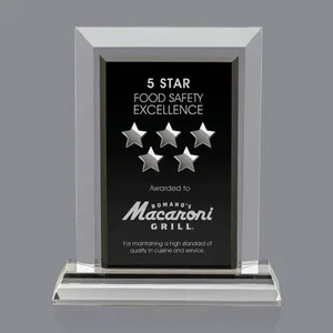 Catch-A-Star Award with Chrome or Gold Die-Cast Stars