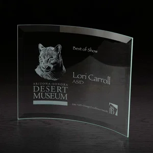 Icon Large Concave Glass Award, 9.5" x 8", Sand Carve