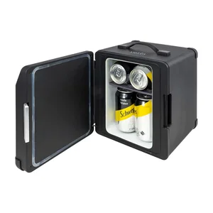 iLive Cooler Pro Wireless Cooler Speaker