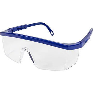 Integra Safety Glasses side view showing adjustable temple arms and comfort tips