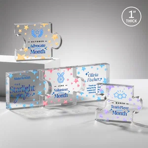 Acrylic Interlocking Puzzle-Piece Award - Jigsaw Large