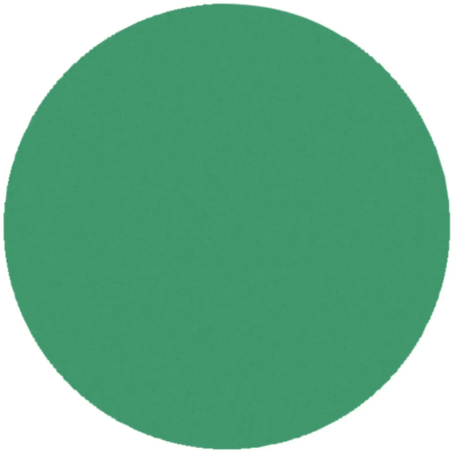 Custom Round Token — view 5