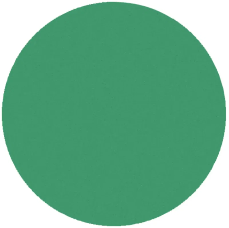 Custom Round Token — view 5