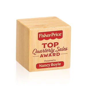 Bamboo Cube Award