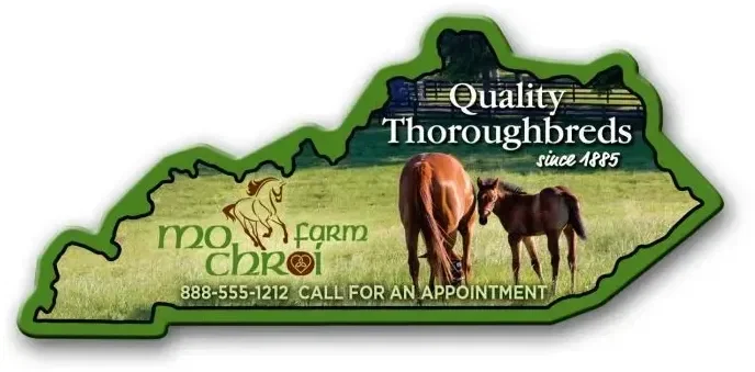Kentucky State Magnet
