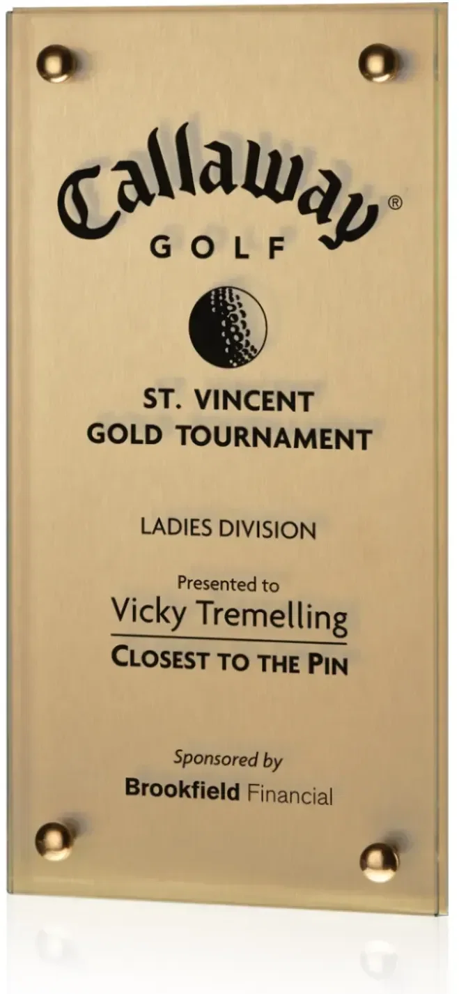 Kingston Metallic Plaque — view 2
