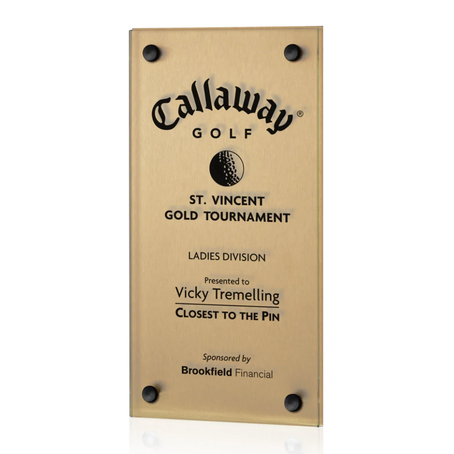 Kingston Metallic Plaque — view 7