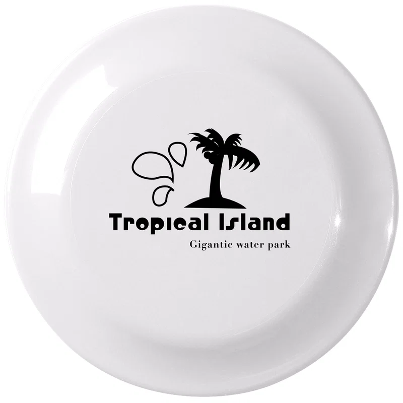 Large Flying Disc — view 3