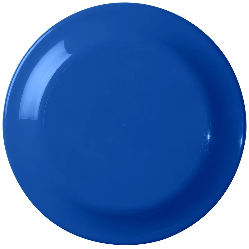 Large Flying Disc — view 5