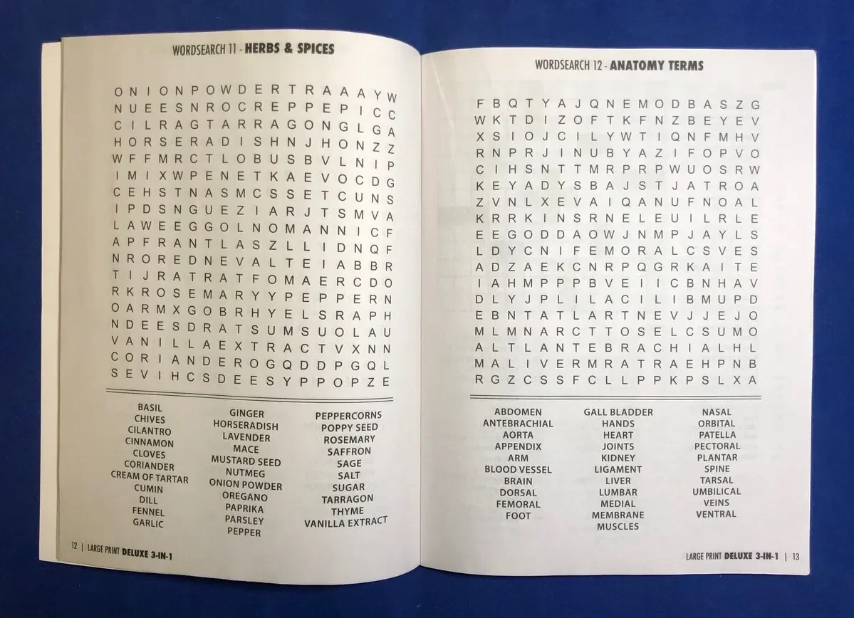 LARGE PRINT Deluxe 3-in-1 Puzzle Book Pack — view 2