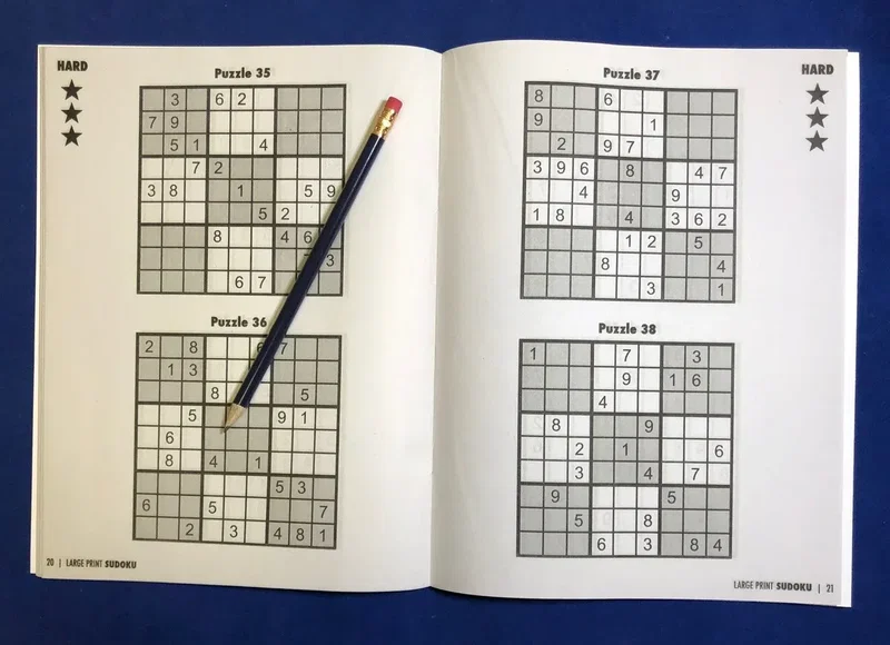 LARGE PRINT Sudoku Puzzle Book - Volume 1 — view 2