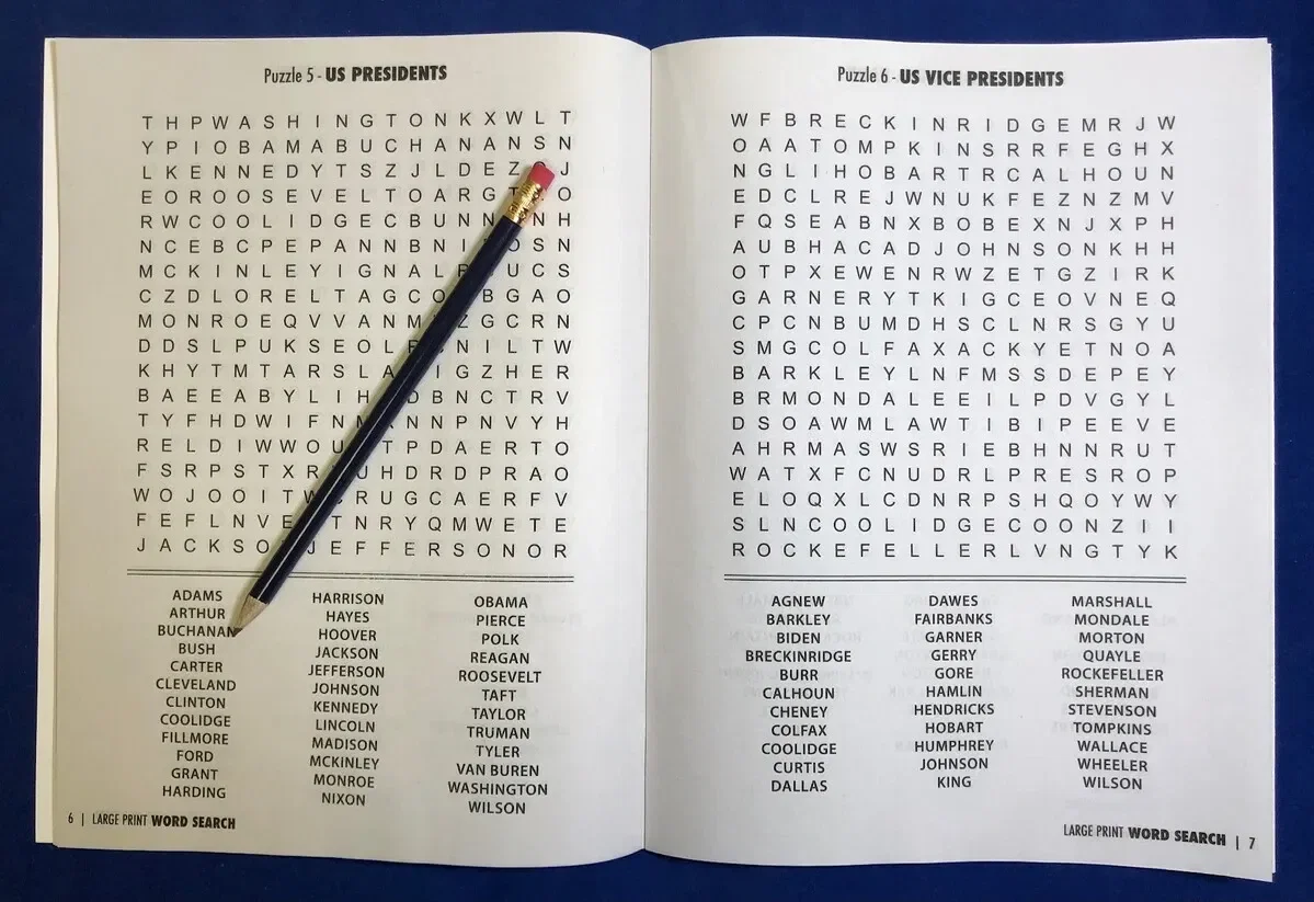 Large Print Word Search Puzzle Book - Volume 1 — view 2