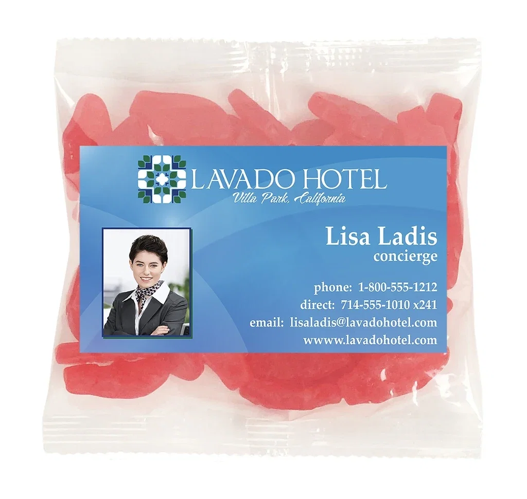 Large Snack Bag with Rectangle Magnet Standard Fill — Candy Fill: Swedish Fish™ — view 4