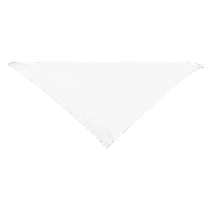 Large Triangle rPET Pet Bandana — view 7