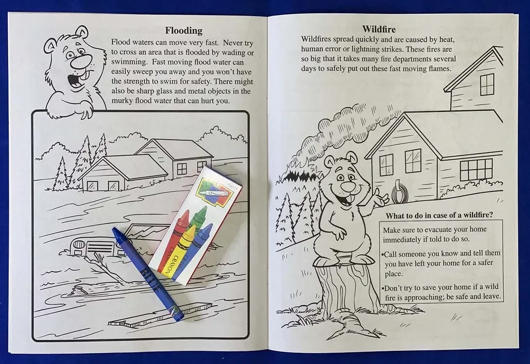 Learning Natural Disaster Safety Coloring Book — view 2