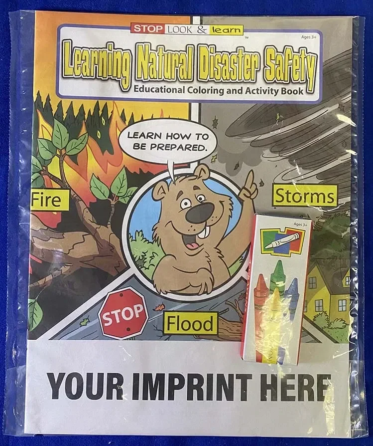 Learning Natural Disaster Safety Coloring Book — view 3
