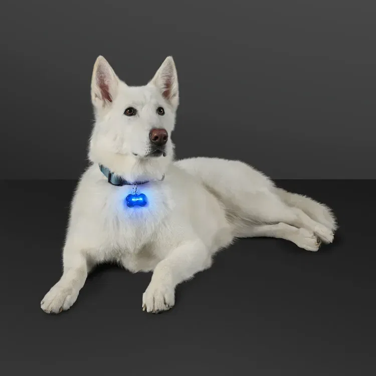 LED Dog Bone Safety Pet Light — view 2