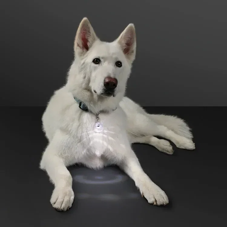 Light Projecting Pet Light and LED Keychain — view 3