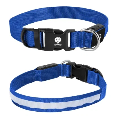 Rechargeable light up pet collar sized for medium dogs