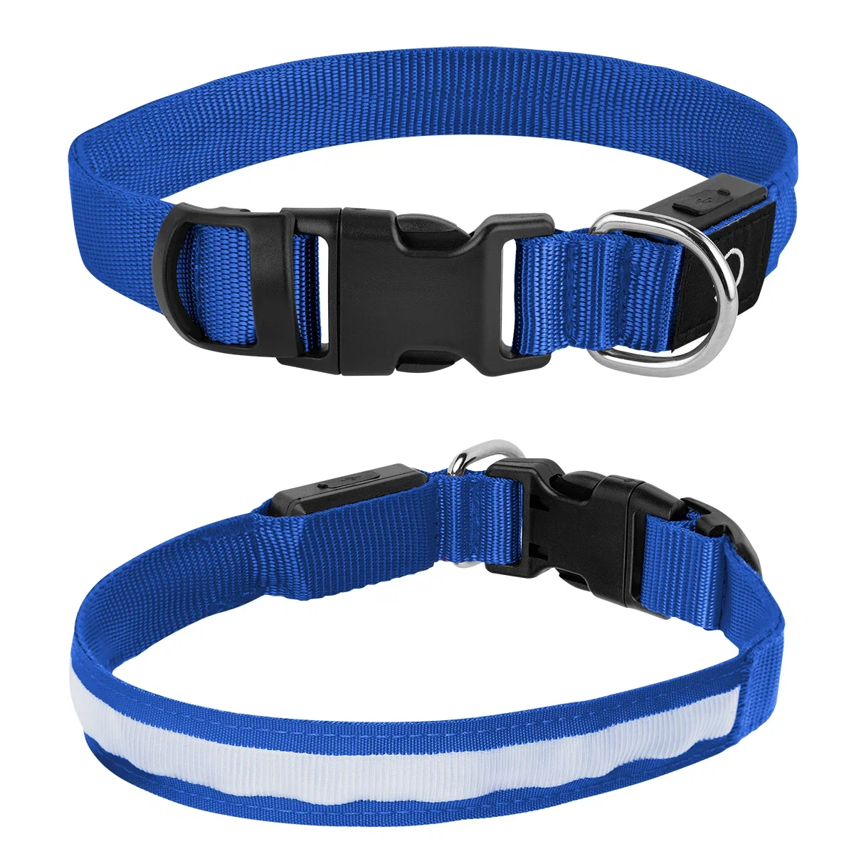 Worn by a dog on an evening walk
