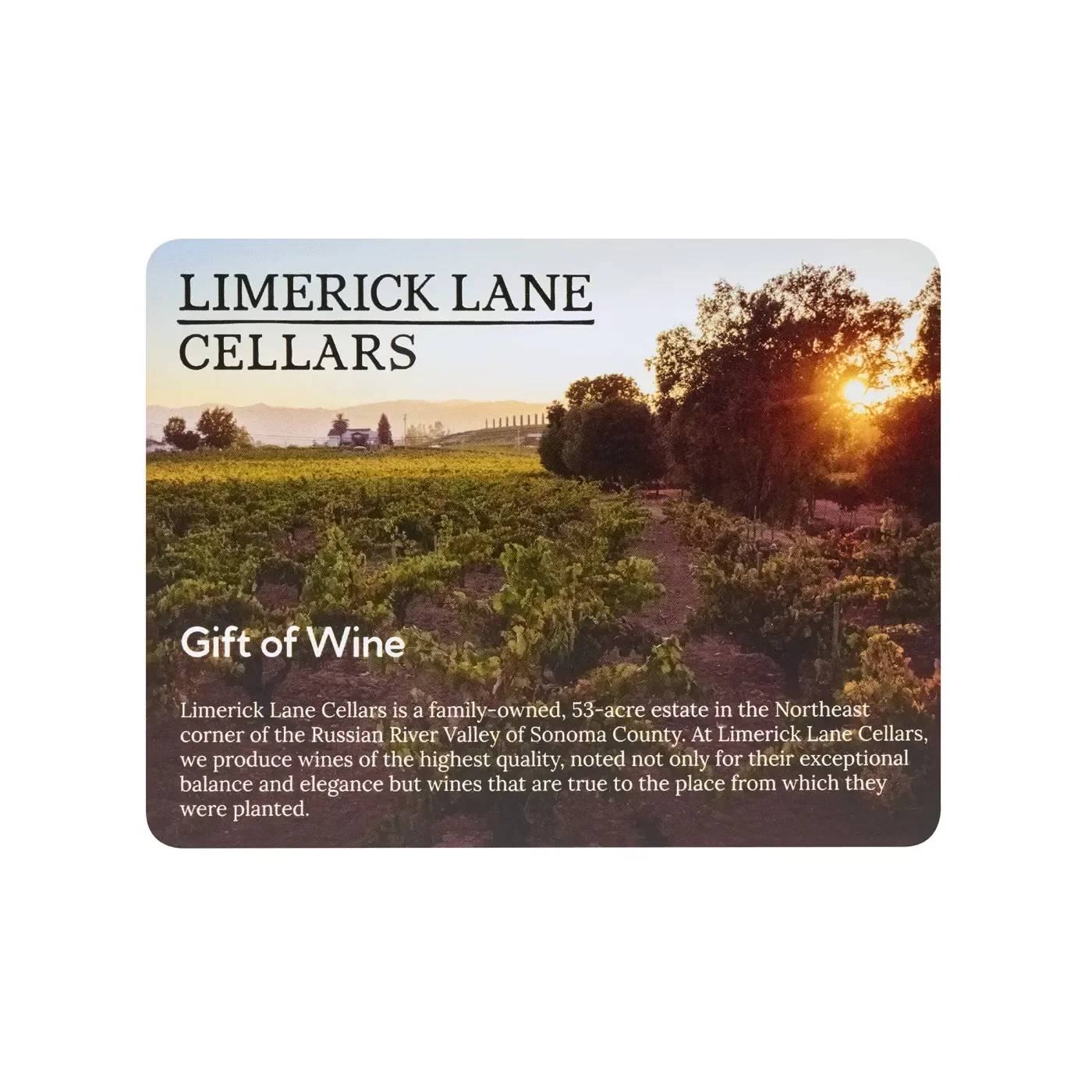 Limerick Lane Cellars Wine Enthusiast Tote & Gourmet Gift Set — view 4