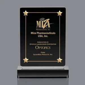 Catch-A-Star Award with Individually Positioned Gold Stars
