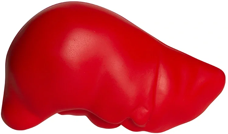 Custom Printed Liver Stress Reliever — view 4